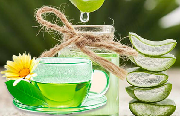 Зеленый чай и алоэ. Алоэ и мята. Aloe Vera Tea. Алоэ и зеленый чай. Чай с алоэ.