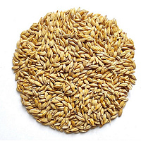 Кормопроизводство Кормопроизводство