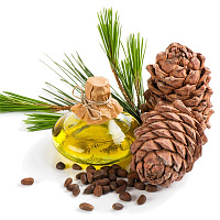 Лесохимия Лесохимия