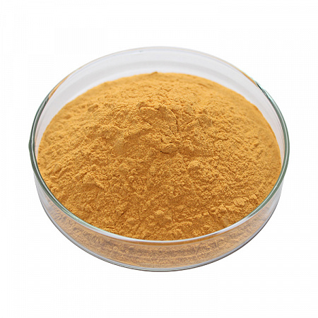 Лютеин Лютеин