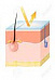 Oxyde De Zinc Micropur AS Oxyde De Zinc Micropur AS