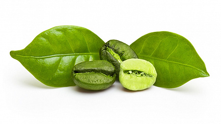 СО2 экстракт кофе зеленого жирорастворимый СО2 экстракт кофе зеленого жирорастворимый